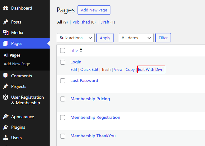 How to use Divi Builder