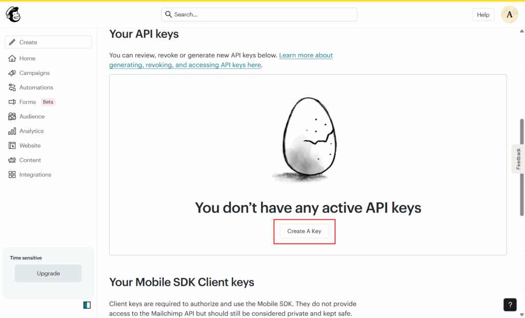 Click on MailChimp Create API Key
