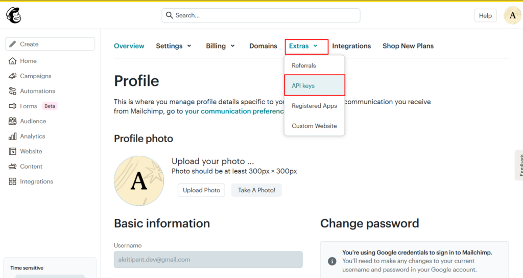 Navigate to Extras and API Keys